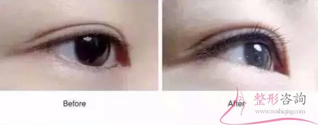 1959206519 1959206519