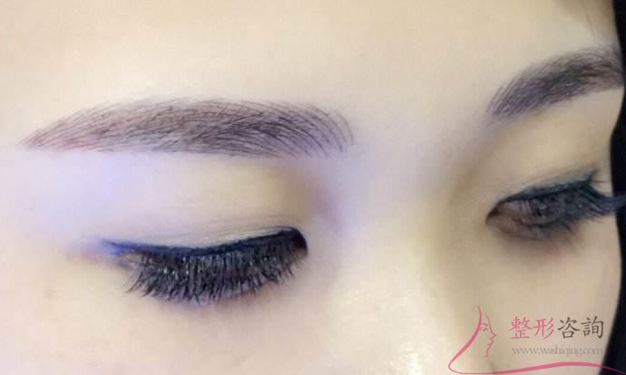 2004511300 2004511300