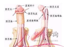 1605437166 1605437166