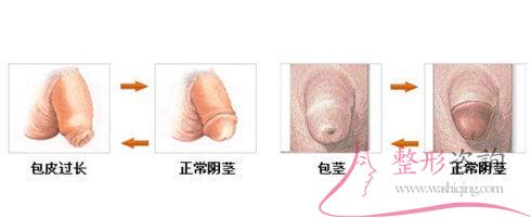 2035334534 2035334534