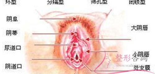 1626001876 1626001876