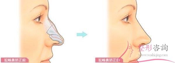 1614264971 1614264971