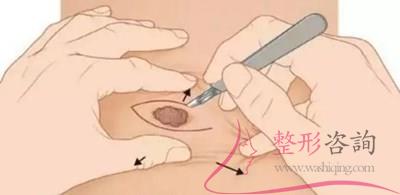 1139453201 1139453201