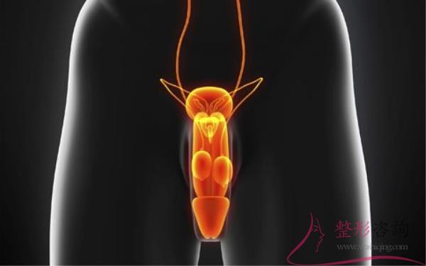 1053409486 1053409486