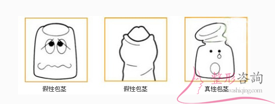 1351469068 1351469068