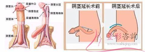 1445199238 1445199238