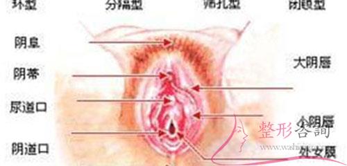 1743257559 1743257559