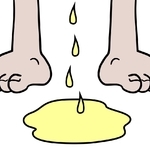 OL完美體型只需三個動作