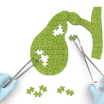 OL完美體型只需三個動作