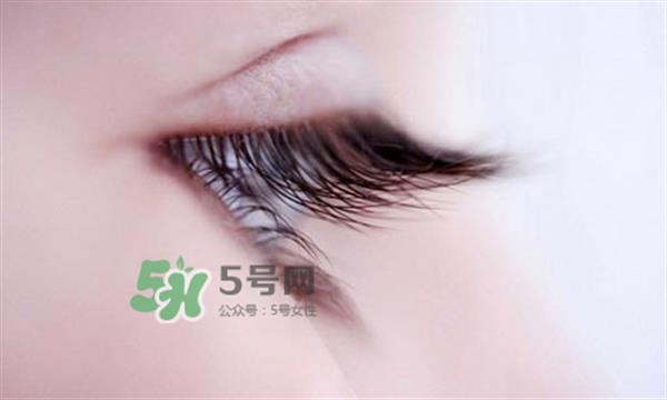 <a href=http://www.f3bb6.cn/listinfo-707-0.html target=_blank class=infotextkey>種睫毛</a>會不會過敏？<a href=http://www.f3bb6.cn/listinfo-707-0.html target=_blank class=infotextkey>種睫毛</a>過敏怎么辦？