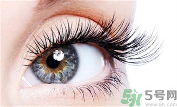 <a href=http://www.f3bb6.cn/listinfo-707-0.html target=_blank class=infotextkey>種睫毛</a>后能畫眼線嗎?<a href=http://www.f3bb6.cn/listinfo-707-0.html target=_blank class=infotextkey>種睫毛</a>可以畫眼線嗎?