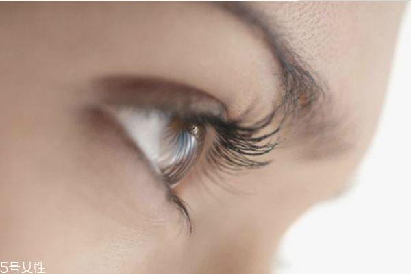 種植睫毛能管多久 <a href=http://www.f3bb6.cn/listinfo-707-0.html target=_blank class=infotextkey>種睫毛</a>能維持多長時間