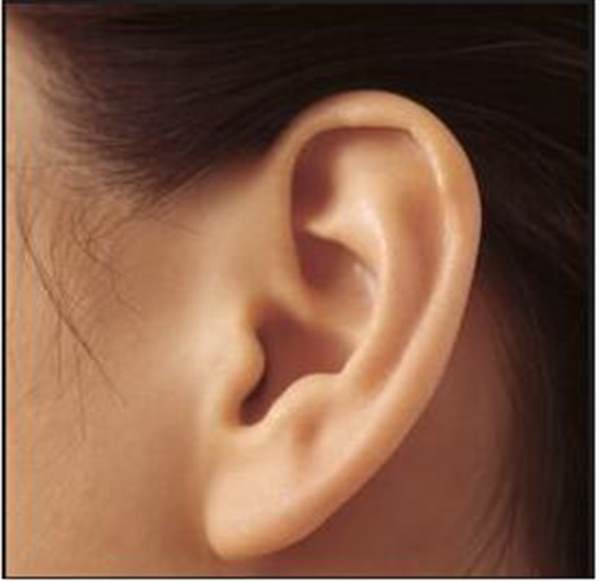 北京做<a href=http://www.f3bb6.cn/listinfo-698-0.html target=_blank class=infotextkey>招風耳矯正</a>大概要多少錢