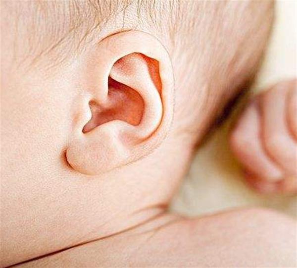 北京<a href=http://www.f3bb6.cn/listinfo-692-0.html target=_blank class=infotextkey>耳部整形</a>怎么樣