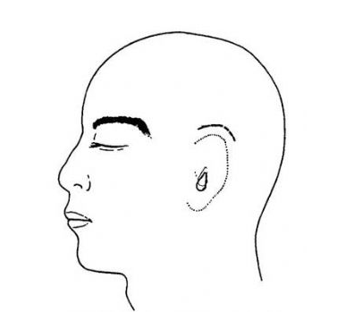 全<a href=http://www.f3bb6.cn/listinfo-699-0.html target=_blank class=infotextkey>耳再造</a>術有哪些方法啊