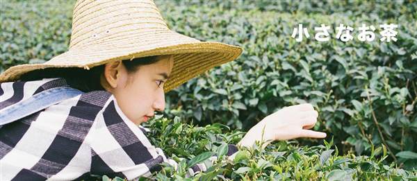 小<a href=http://www.f3bb6.cn/listinfo-699-0.html target=_blank class=infotextkey>耳再造</a>術,放大你的美麗!