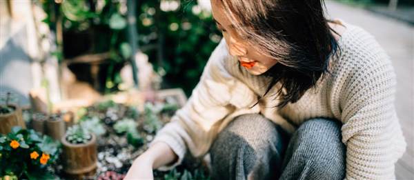 耳垂受損的修補(bǔ)手術(shù)