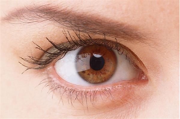 <a href=http://www.f3bb6.cn/listinfo-711-0.html target=_blank class=infotextkey>開眼角</a>后增生了怎么辦 